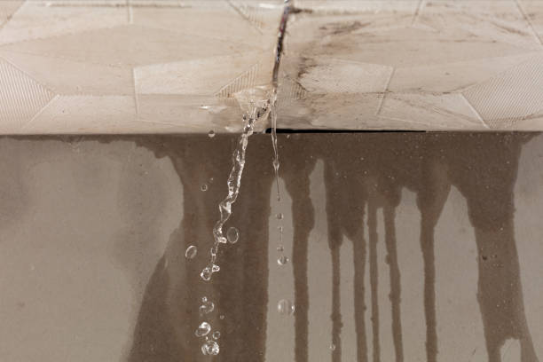 Professional Water Extraction technician working in Malinta, OH
